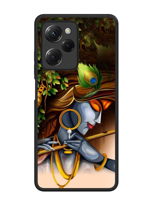 Krishna Glossy Metal Phone Cover for Poco X5 Pro (5G) Zapvi