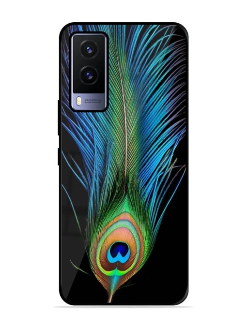 Peacock Feather Glossy Metal TPU Phone Cover for Vivo V21E (5G) Zapvi