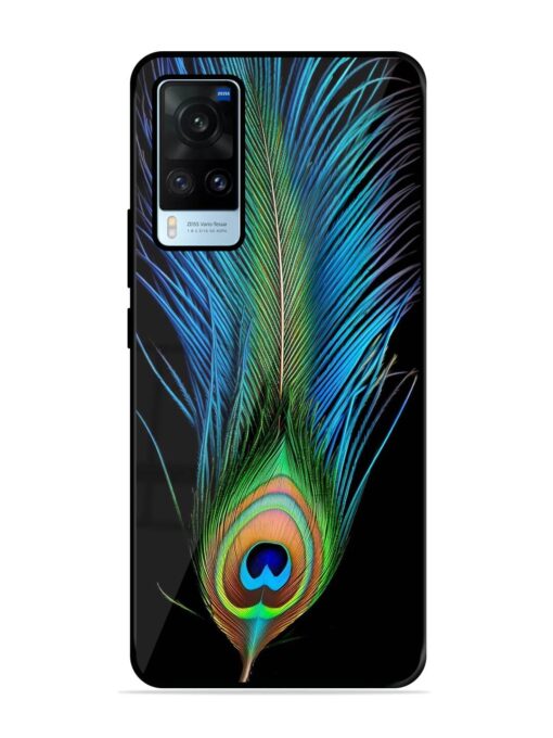 Peacock Feather Glossy Metal TPU Phone Cover for Vivo X60