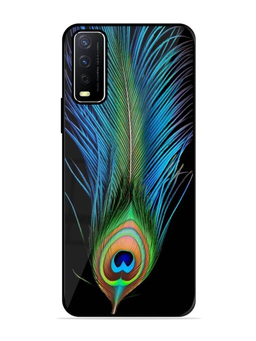 Peacock Feather Glossy Metal TPU Phone Cover for Vivo Y12S Zapvi