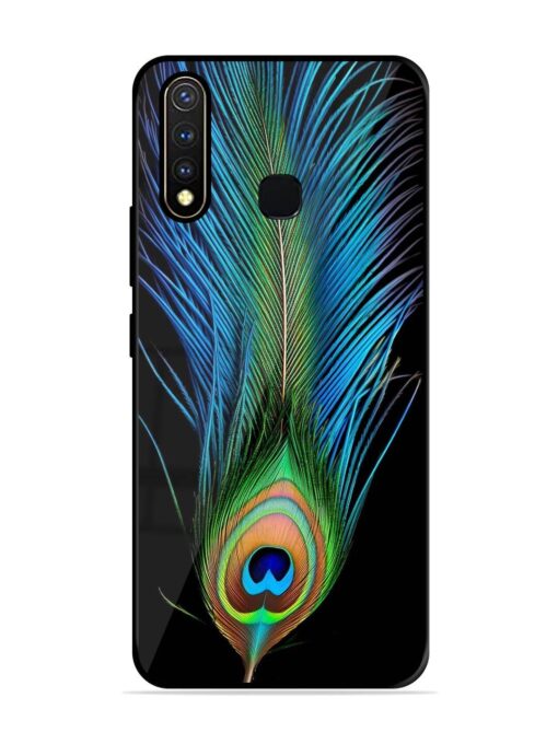 Peacock Feather Glossy Metal TPU Phone Cover for Vivo Y19 Zapvi