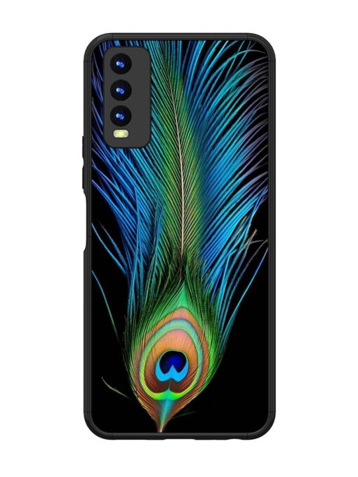 Peacock Feather Glossy Metal TPU Phone Cover for Vivo Y20 Zapvi