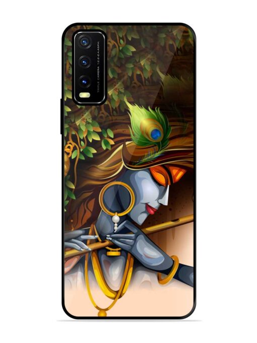 Krishna Glossy Metal Phone Cover for Vivo Y20A Zapvi