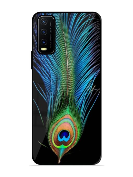 Peacock Feather Glossy Metal TPU Phone Cover for Vivo Y20A Zapvi