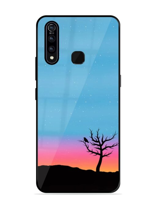 Natural Gradient Glossy Metal Phone Cover for Vivo Z1 Pro Zapvi