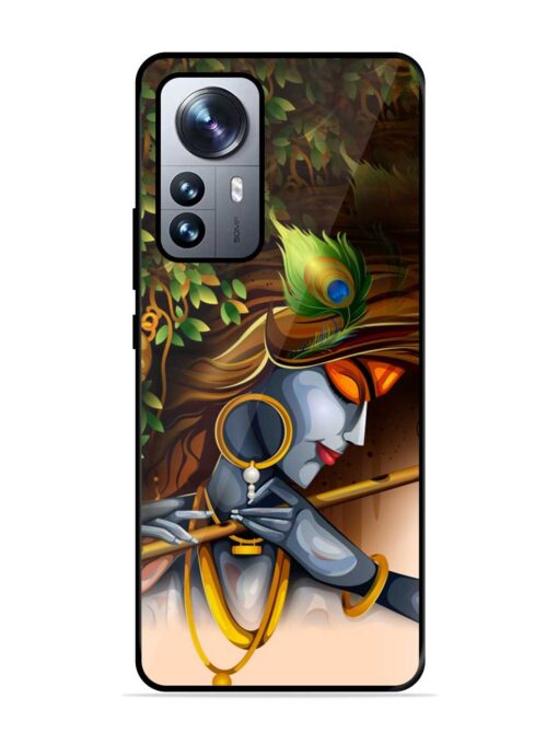 Krishna Glossy Metal Phone Cover for Xiaomi Mi 12 Pro (5G) Zapvi