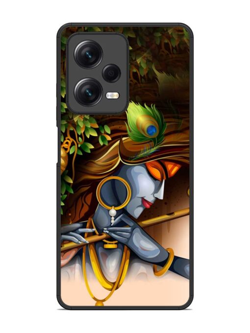 Krishna Glossy Metal Phone Cover for Xiaomi Redmi Note 12 Pro (5G)