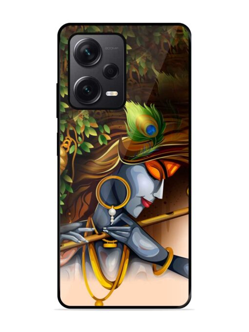 Krishna Glossy Metal Phone Cover for Xiaomi Redmi Note 12 Pro Plus (5G) Zapvi