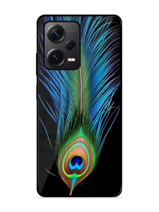 Peacock Feather Glossy Metal TPU Phone Cover for Xiaomi Redmi Note 12 Pro Plus (5G) Zapvi