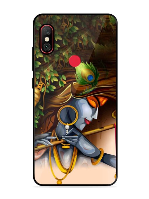 Krishna Glossy Metal Phone Cover for Xiaomi Redmi Note 6 Pro Zapvi