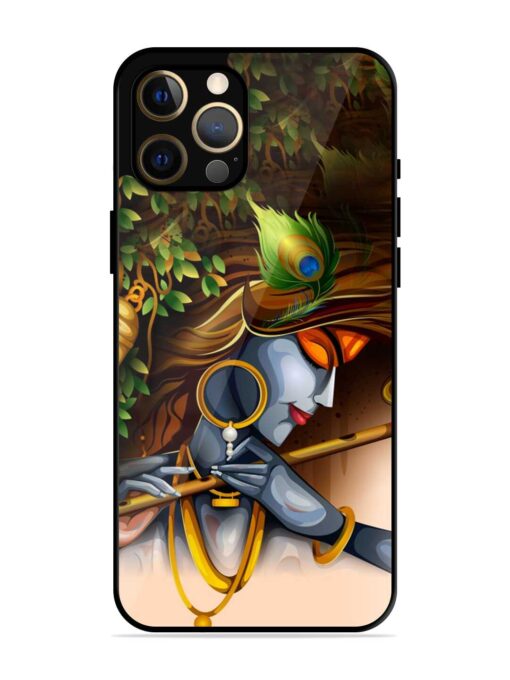 Krishna Glossy Metal Phone Cover for Apple Iphone 12 Pro Max Zapvi