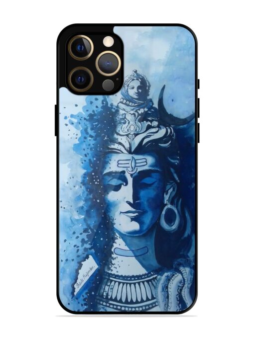 Shiv Art Glossy Metal Phone Cover for Apple Iphone 12 Pro Max