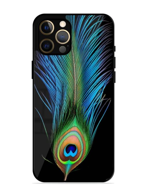 Peacock Feather Glossy Metal TPU Phone Cover for Apple Iphone 12 Pro Max Zapvi