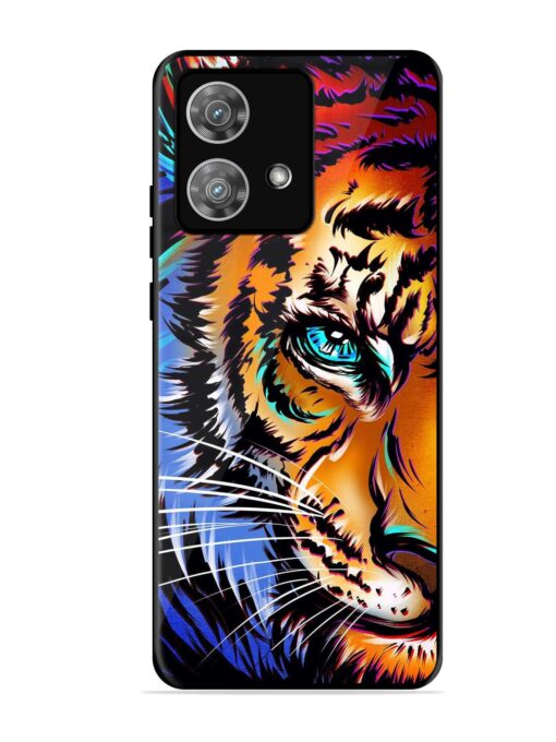 Colorful Lion Art Glossy Metal Phone Cover for Motorola Moto Edge 40 Neo Zapvi