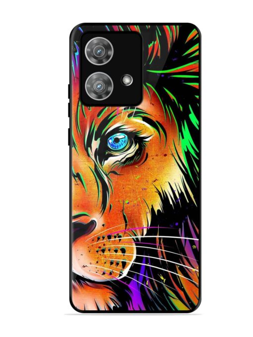 Colorful Lion Design Glossy Metal TPU Phone Cover for Motorola Moto Edge 40 Neo Zapvi