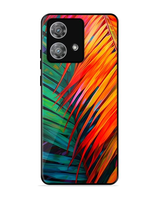 Painted Tropical Leaves Glossy Metal Phone Cover for Motorola Moto Edge 40 Neo Zapvi