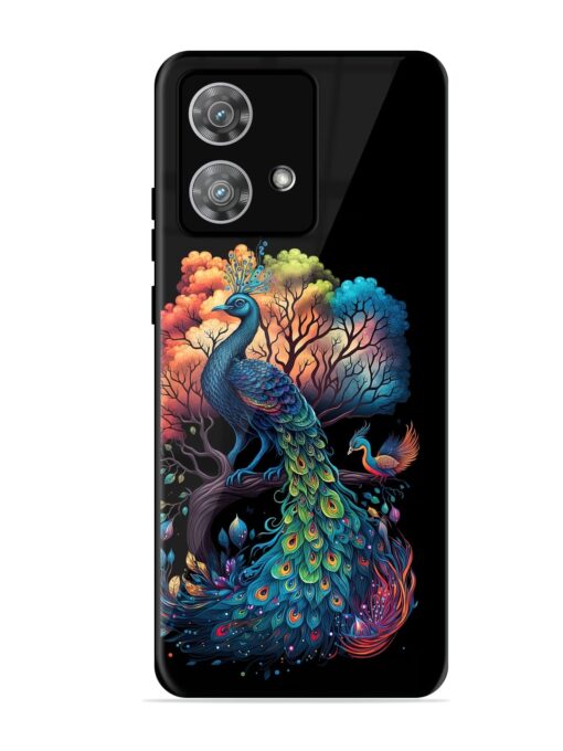 Peacock Tree Art Glossy Metal Phone Cover for Motorola Moto Edge 40 Neo Zapvi