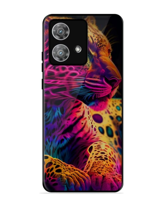 Leopard Art Glossy Metal Phone Cover for Motorola Moto Edge 40 Neo Zapvi