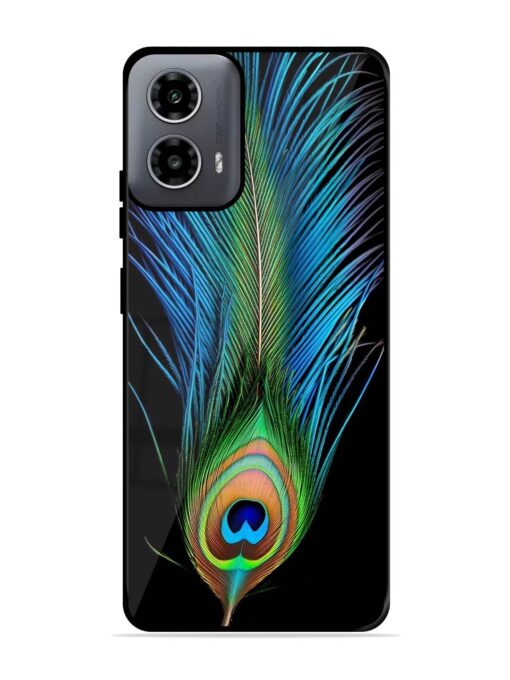 Peacock Feather Glossy Metal TPU Phone Cover for Motorola Moto G54 (5G) Zapvi