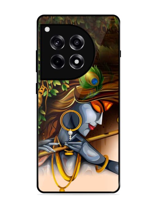 Krishna Glossy Metal Phone Cover for Oneplus 12R (5G)