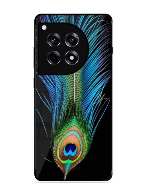 Peacock Feather Glossy Metal TPU Phone Cover for Oneplus 12R (5G) Zapvi