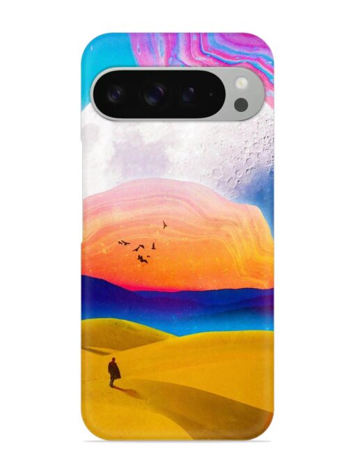 Sandy Desert Snap Case for Google Pixel 9 Pro Zapvi