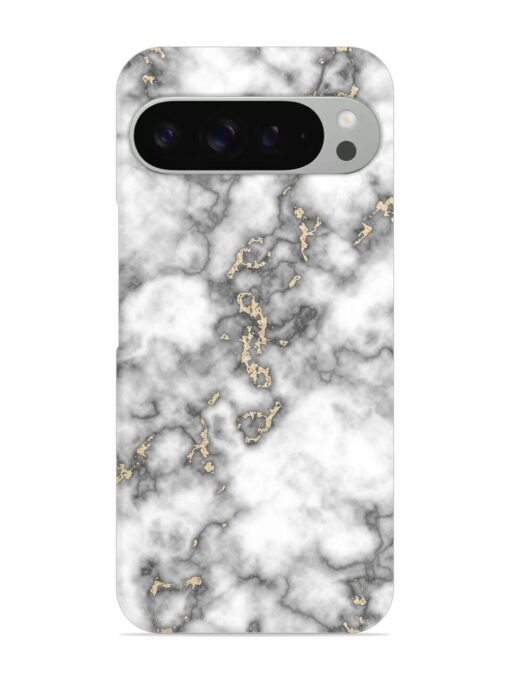 Gray And Gold Marble Snap Case for Google Pixel 9 Pro