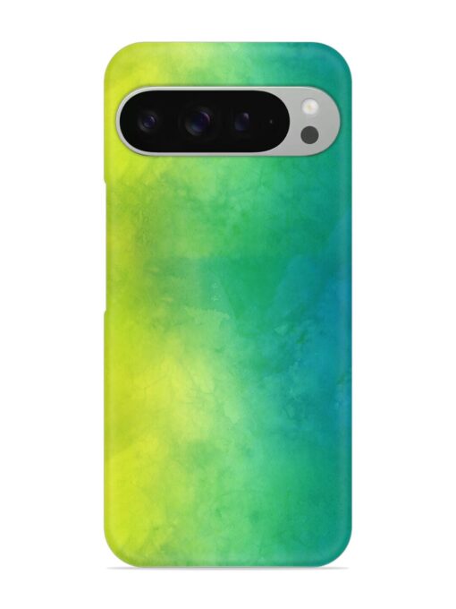 Yellow Green Gradient Snap Case for Google Pixel 9 Pro Zapvi