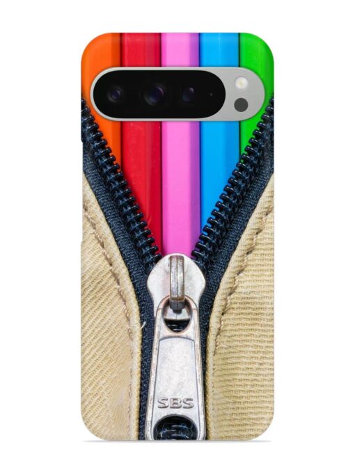 Zip In Color Snap Case for Google Pixel 9 Pro Zapvi