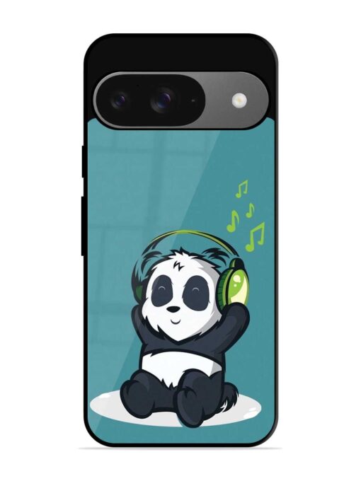 Music Panda Glossy Metal Phone Cover for Google Pixel 9