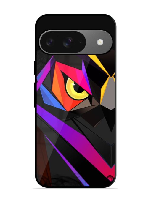 Wpap Owl Glossy Metal Phone Cover for Google Pixel 9 Zapvi