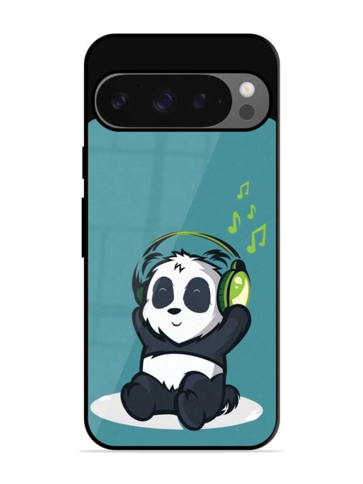 Music Panda Glossy Metal Phone Cover for Google Pixel 9 Pro