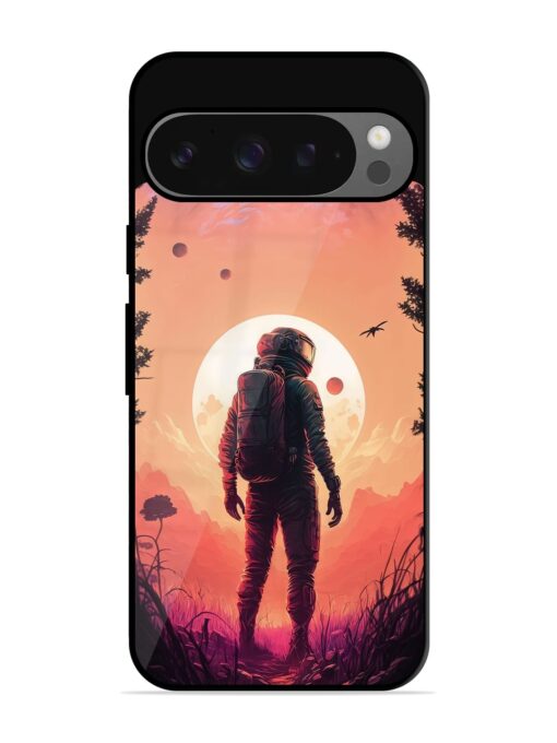 Red Sky At Morning Glossy Metal Phone Cover for Google Pixel 9 Pro