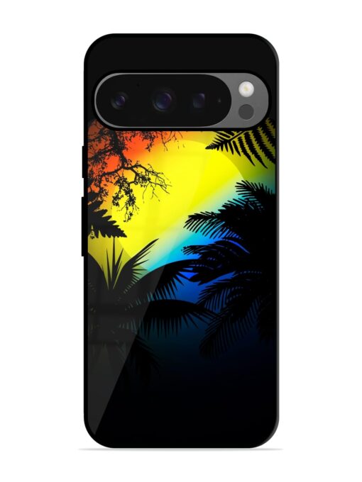 Colorful Sunset With Palm Trees Glossy Metal Phone Cover for Google Pixel 9 Pro