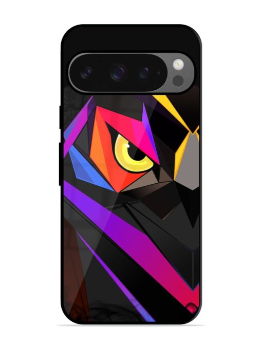 Wpap Owl Glossy Metal Phone Cover for Google Pixel 9 Pro