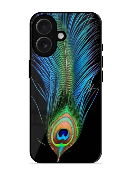 Peacock Feather Glossy Metal TPU Phone Cover for Apple Iphone 16 Plus Zapvi