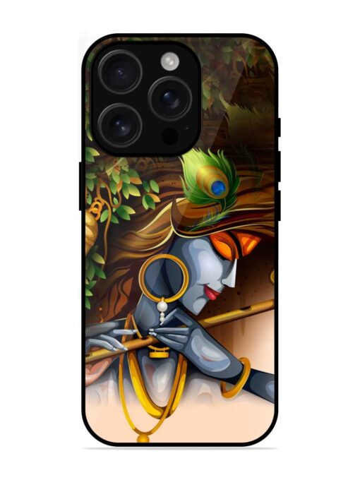 Krishna Glossy Metal Phone Cover for Apple Iphone 16 Pro Max