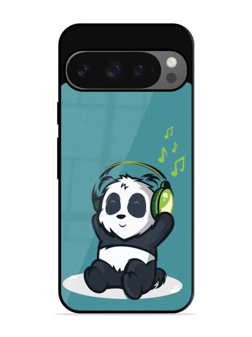 Music Panda Glossy Metal Phone Cover for Google Pixel 9 Pro Xl