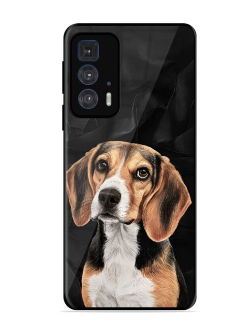 Beagle Portrait Glossy Metal Phone Cover for Motorola Edge 20 Pro Zapvi