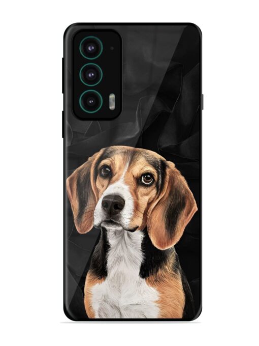 Beagle Portrait Glossy Metal Phone Cover for Motorola Moto Edge 20 Zapvi