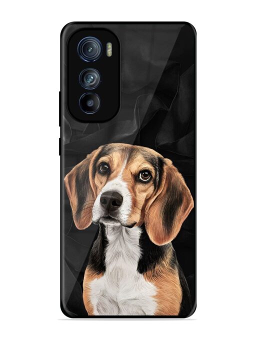 Beagle Portrait Glossy Metal Phone Cover for Motorola Moto Edge 30 Zapvi