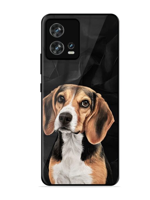 Beagle Portrait Glossy Metal Phone Cover for Motorola Moto Edge 30 Fusion