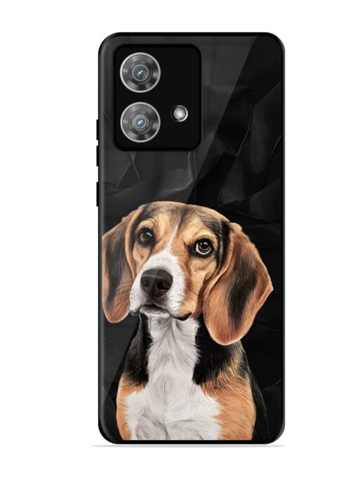 Beagle Portrait Glossy Metal Phone Cover for Motorola Moto Edge 40 Neo Zapvi