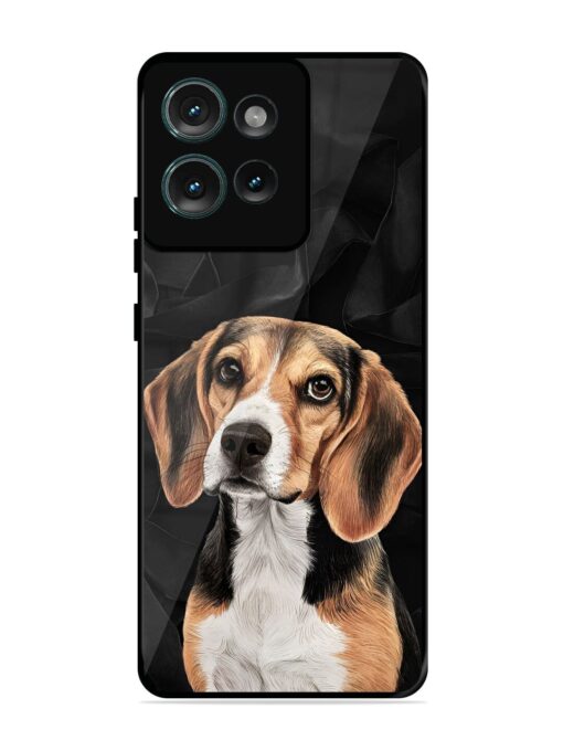 Beagle Portrait Glossy Metal Phone Cover for Motorola Moto Edge 50 (5G)