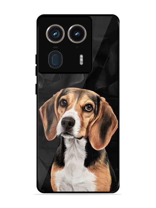 Beagle Portrait Glossy Metal Phone Cover for Motorola Moto Edge 50 Ultra (5G)