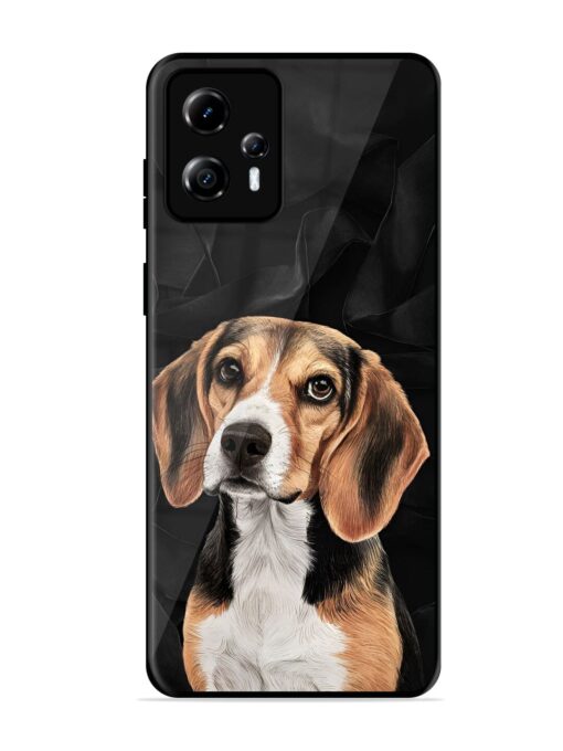 Beagle Portrait Glossy Metal Phone Cover for Motorola Moto G13 Zapvi