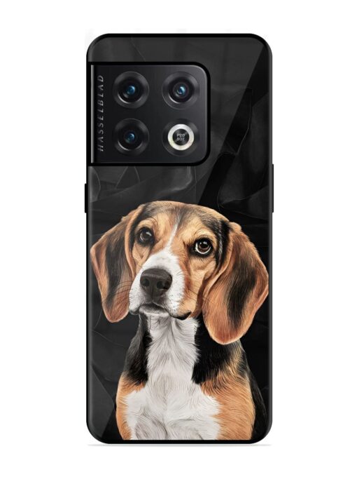 Beagle Portrait Glossy Metal Phone Cover for Oneplus 10 Pro (5G) Zapvi