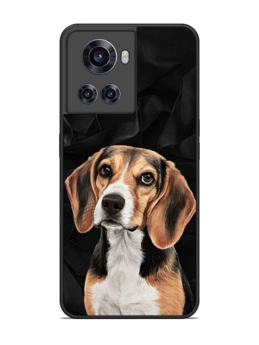 Beagle Portrait Glossy Metal Phone Cover for Oneplus 10R (5G) Zapvi