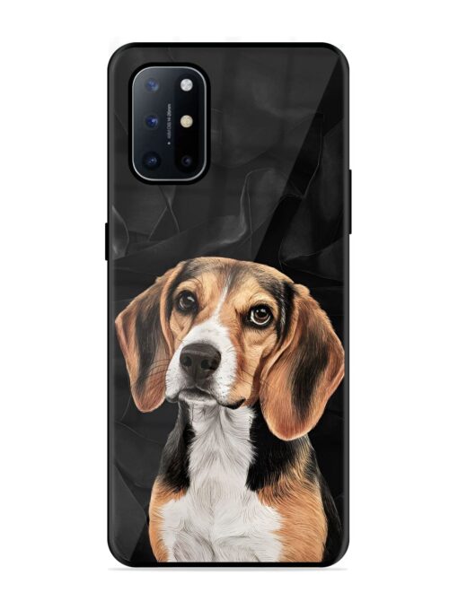 Beagle Portrait Glossy Metal Phone Cover for Oneplus 8T (5G)