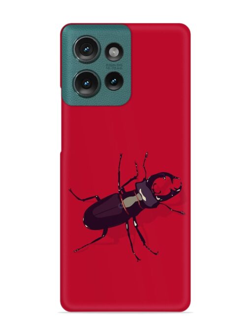 Beetles Snap Case for Motorola Moto Edge 50 (5G)